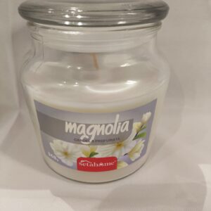 Candele profumate in giara da 368g - MAGNOLIA